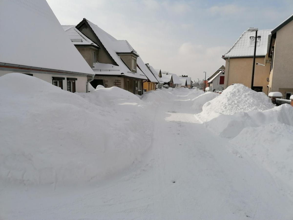 Blumenwerkstatt Mit Sauna Und Jacuzzi Dankerode  エクステリア 写真